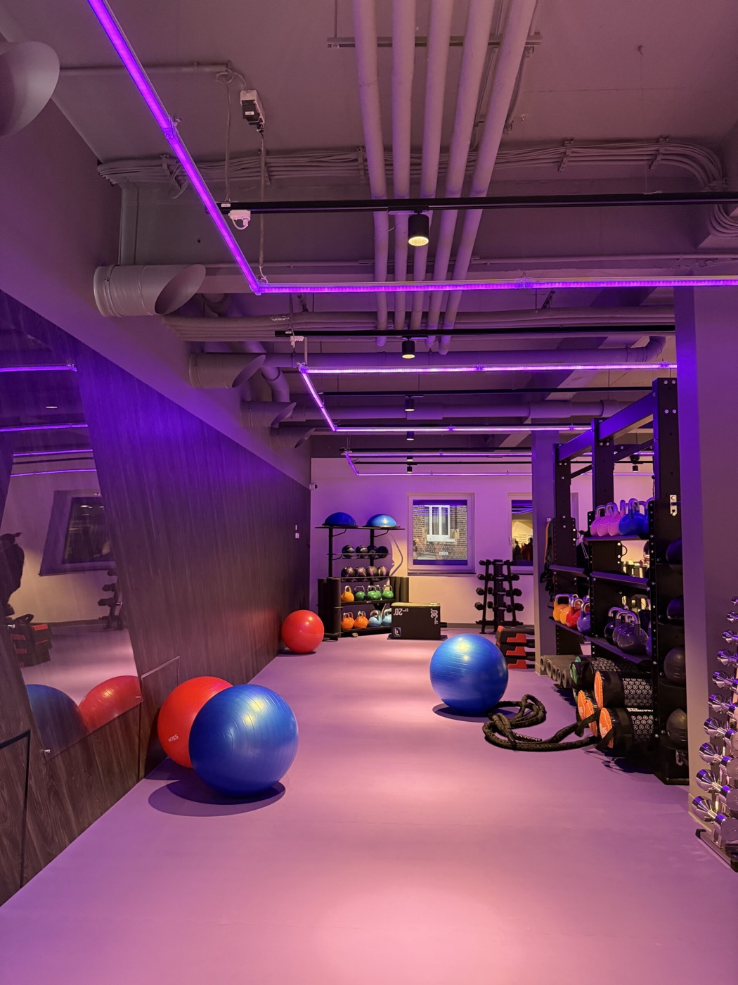 Functional-Training-Bereich